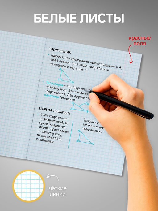 Набор тетрадей 36 листов в клетку, Calligrata «Кактус», 5 штук