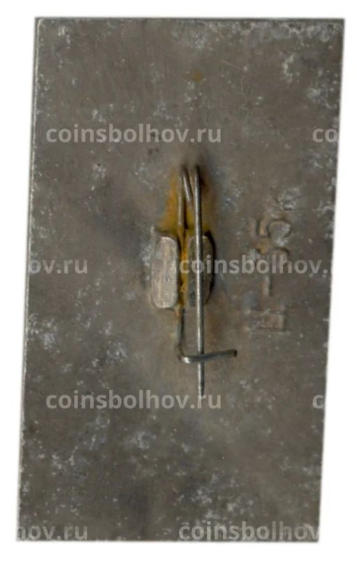 Значок Волгоград  город-герой  Вечный огонь