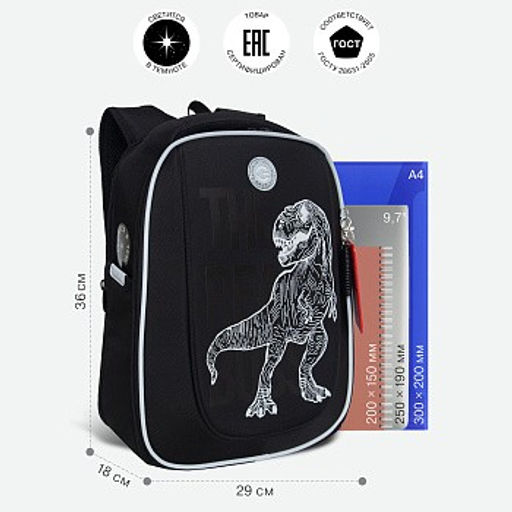 RAf-493-2 Рюкзак школьный - Grizzly фото 32