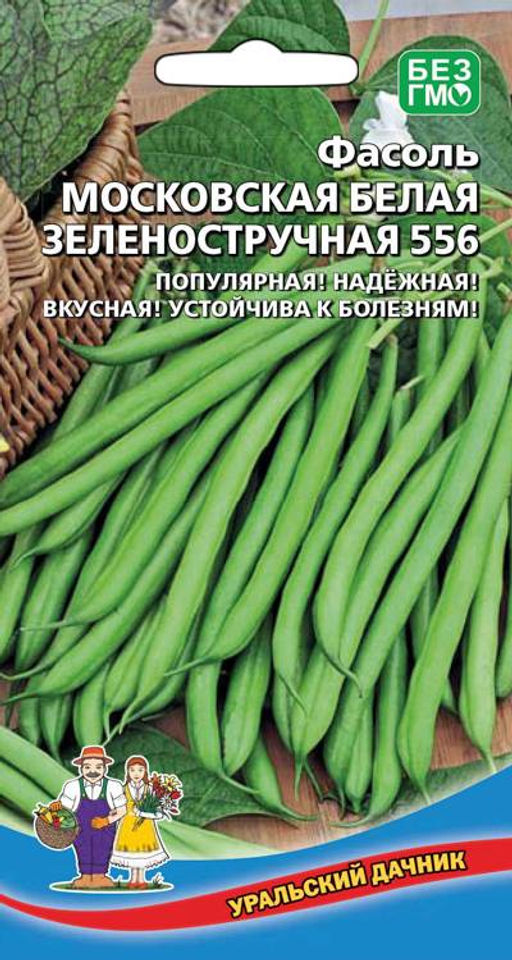 Фасоль МОСКОВСКАЯ БЕЛАЯ ЗЕЛЁНОСТРУЧКОВАЯ 556