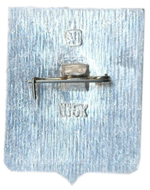 Значок Новый Маргелан