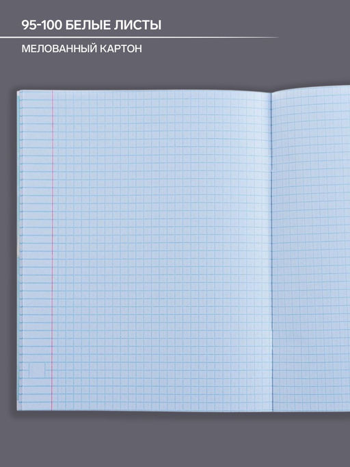 Тетрадь предметная Коллаж, 48 листов в клетку Физика со справочным материалом, обложка мелованный картон, блок офсет - Calligrata фото 4