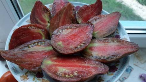 Томат Мятежный Звездный Истребитель 10 шт РЕДКИЕ СЕМЕНА