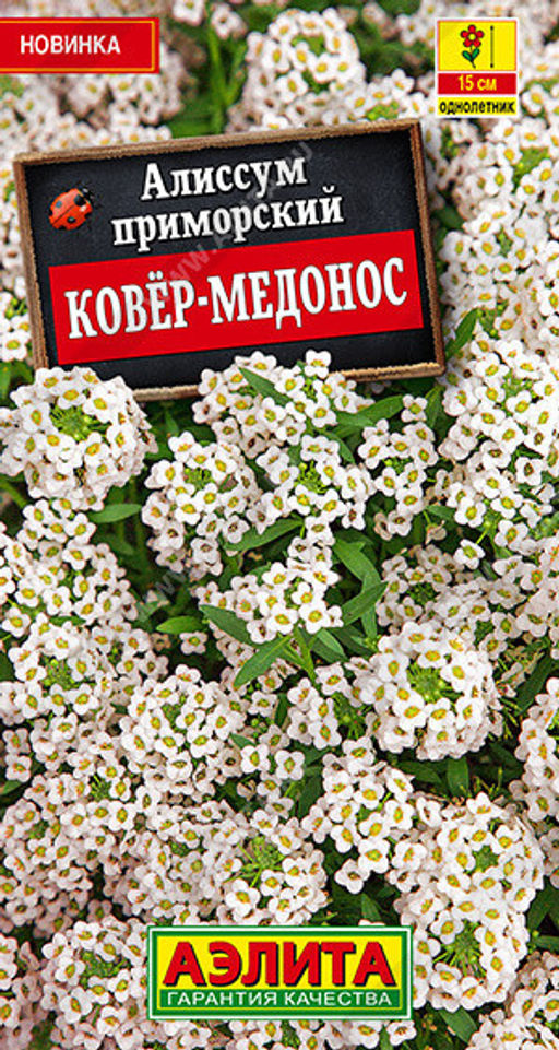 1162A Алиссум Ковер-медонос 0,05гр