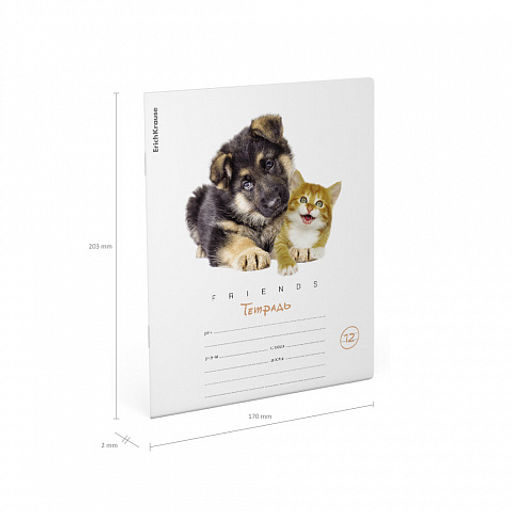 Цена за 280 шт. Тетрадь школьная ученическая ErichKrause Дружба, 12 листов, линейка (в плёнке по 10 шт.)  фото 10