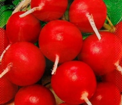 Редис Всесезонный 2г (Аэлита)