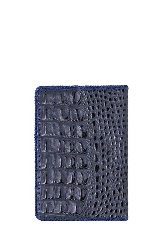 Обложка паспорта ДС-6-144 - Protege фото 2