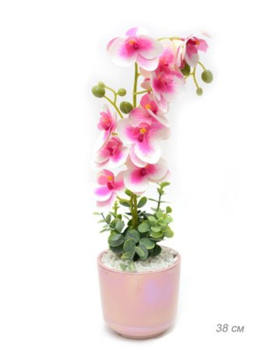 Цветочная композиция Орхидея 38 см / 0213-152 /уп 24/ - Галеонтрейд фото 3