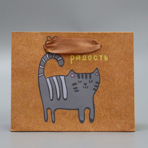 Пакет крафтовый горизонтальный Несу радость, S 15 12 5,5 см - Дарите счастье фото 3