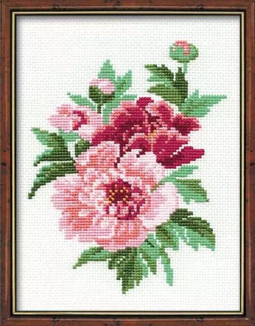 815 Пионы