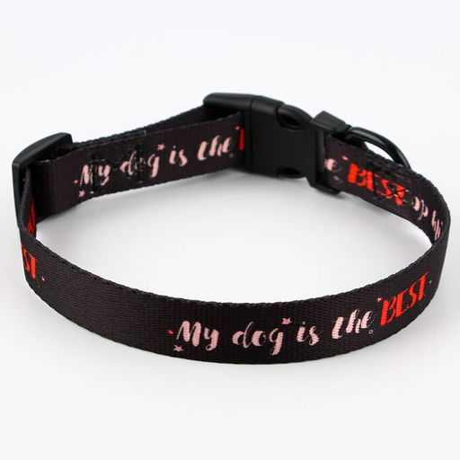 Ошейник My dog is the best, застёжка - фастекс, 2 см 25-40 см - Пушистое счастье фото 4