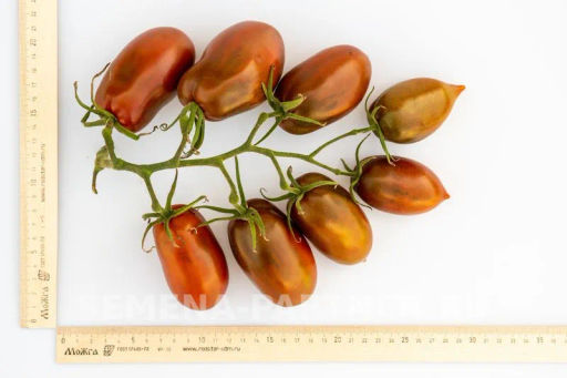 Томат Бурая Гроздь - Партнер фото 6