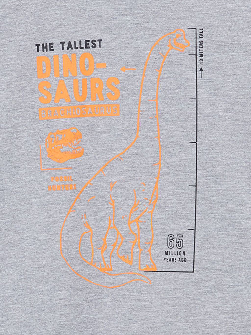 Bisiklet Yaka Erkek ?ocuk Ti??rt - Waikiki фото 2