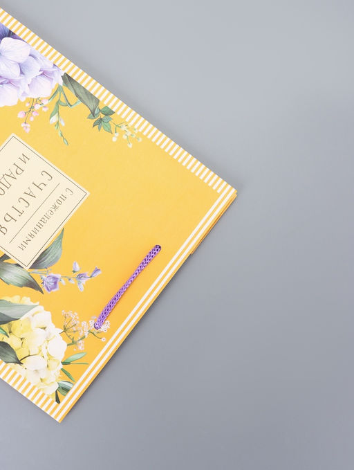 Цена за 2 шт. Пакет подарочный ламинированный Счастья 18?22.3?10 см