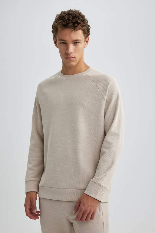 Толстовка стандартного кроя с круглым вырезом и вафельным узором - Defacto фото 4