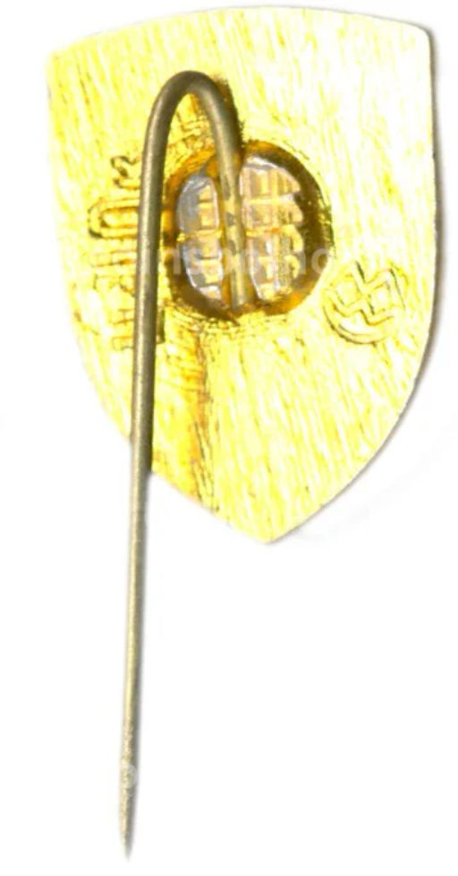 Значок Киев