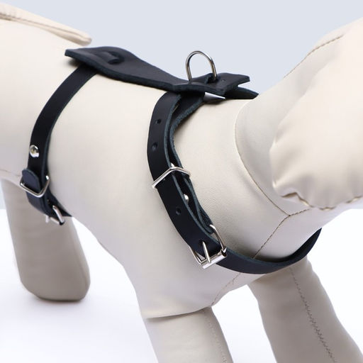 Шлейка кожаная, 1,2 см, для кошек и мелких пород собак, ОШ 26-34, ОГ 36-44, черная - Пижон фото 2