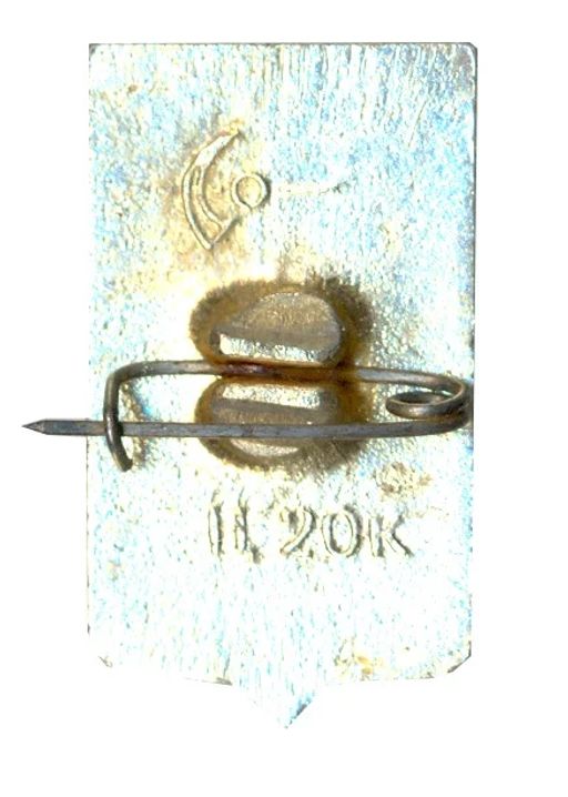 Значок Пошехонье