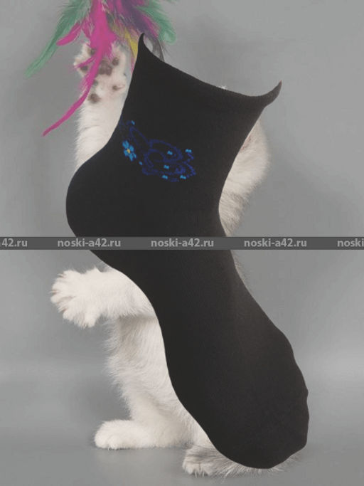 Цена за 10 пар. ЮстаТекс носки женские 2с15 СПОРТ ассорти 23-25 - Юста-текс фото 149