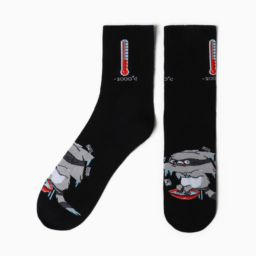 Носки мужские KAFTAN «Енот», размер 41-44 (27-29 см)