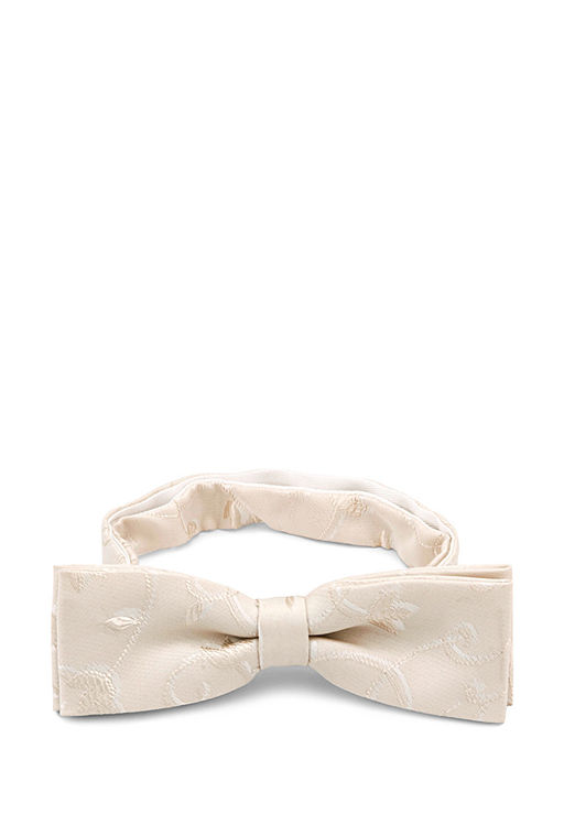 Галстук-бабочка мужской CASINO Casino-poly-wedding 512.1.447