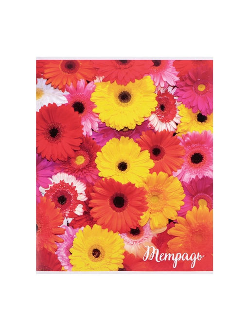 Набор тетрадей, 96 листов в клетку Calligrata "Цветы-1", серые листы, 4 штуки