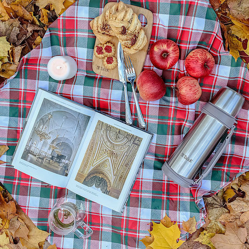 Термос из нержавеющей стали с узкой горловиной 1л "Experience" д9,5см, h28,5см, горло д5,1см, полировка матовая, винтовая пробка, кнопочный переключатель, завинчивающаяся крышка-кружка, ручка, ремень, "TalleR" (Китай)