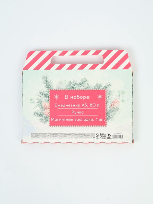 Подарочный набор новогодний в портфеле Волшебного нового года, ежедневник А5, магнитные закладки и ручка