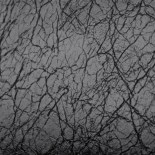 KAIDIFEINIROO Сумка женская 8260  фото 42