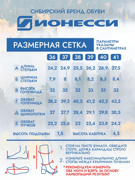 Сапожки - Ионесси фото 3
