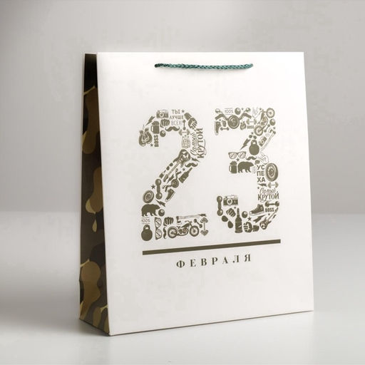 Цена за 2 шт. Пакет подарочный ламинированный, упаковка, «23 февраля», M 26×30×9 см