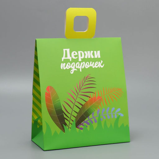 Пакет с формовым клапаном Львенок, 23 27 11.5 см - Дарите счастье фото 4