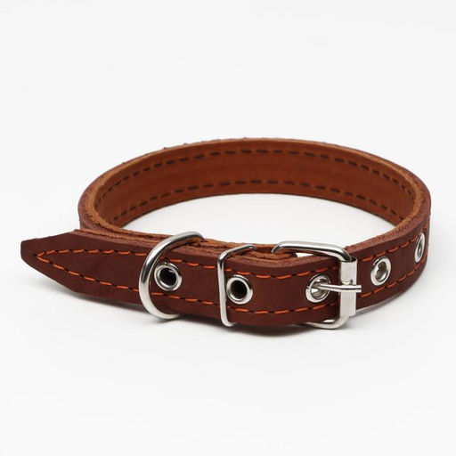 Ошейник кожаный двухслойный, 46 х 2 см, ОШ 25-35 см, коричневый - Пижон фото 2