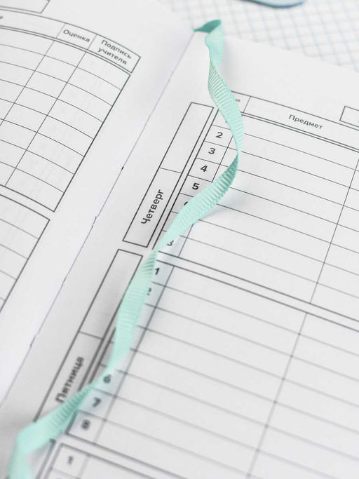 Дневник школьный арт. 68760 / 15 ПЛОНЖЕ МЯТНЫЙ