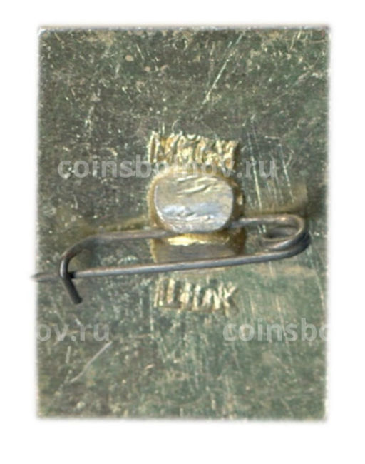 Значок Владимир