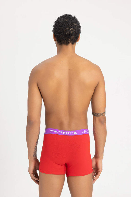 Комплект боксеров стандартной посадки (3 шт.) - Defacto фото 4