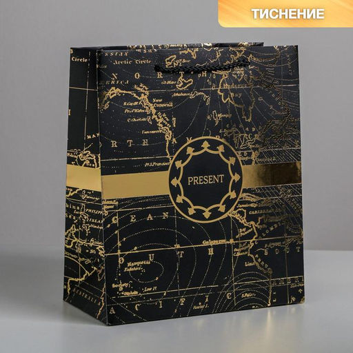 Цена за 2 шт. Пакет подарочный ламинированный, упаковка, Gold present, ML 23 х 27 х 11.5 см