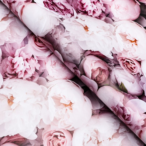 Цена за 10 шт. Бумага упаковочная, глянцевая «Весенний букет пионов», 40×60 см