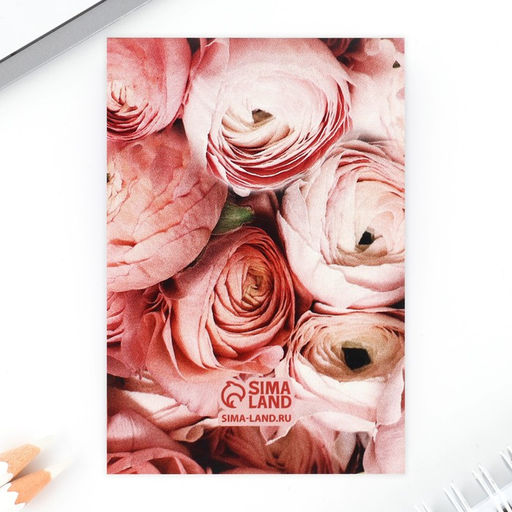 Подарочный набор: блокнот, ручка-фигурная и ластик Самая нежная