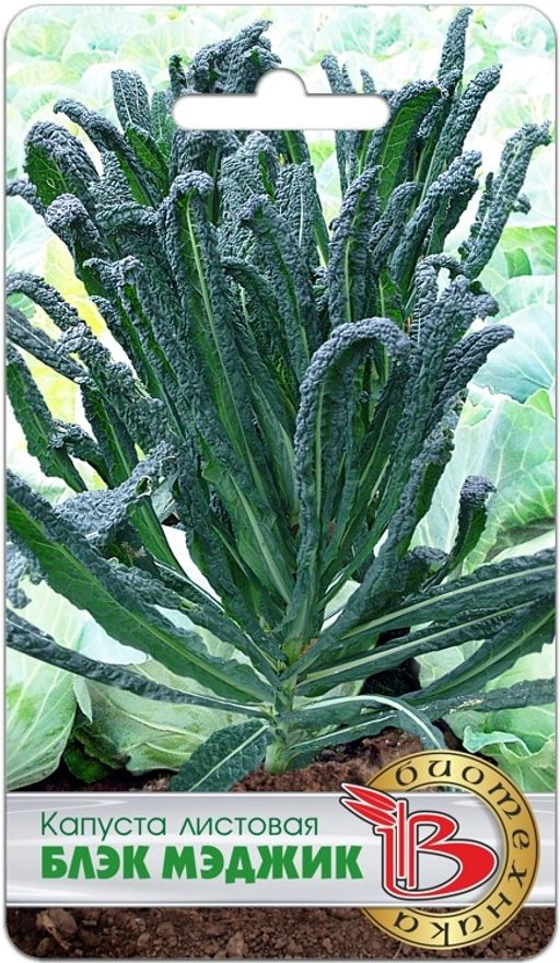 Капуста листовая Блэк Меджик