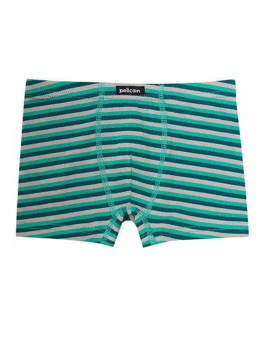 PELICAN, набор трусов для мальчиков, Изумрудный/изумрудный