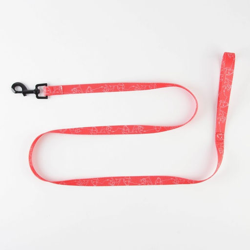 Поводок One line, 2 см, 1.5 м - Пушистое счастье фото 5