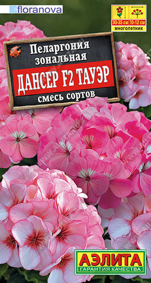 1656A Пеларгония Дансер F2 Тауэр, смесь сортов 5шт