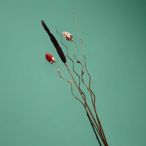 Сухоцвет на бамбуковом стебле, 150 см, белый