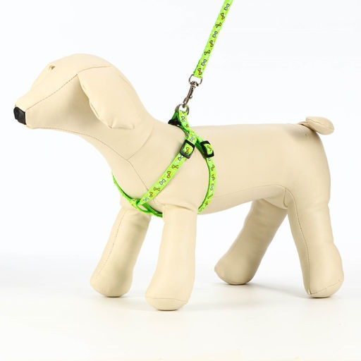 Комплект Звёздные косточки, поводок 120 х 1 см, ОГ 23-35 см, зелёный - Пижон фото 2