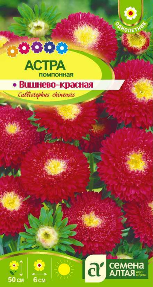 Астра Помпонная Вишнево-Красная 0,2г (Семена Алтая)