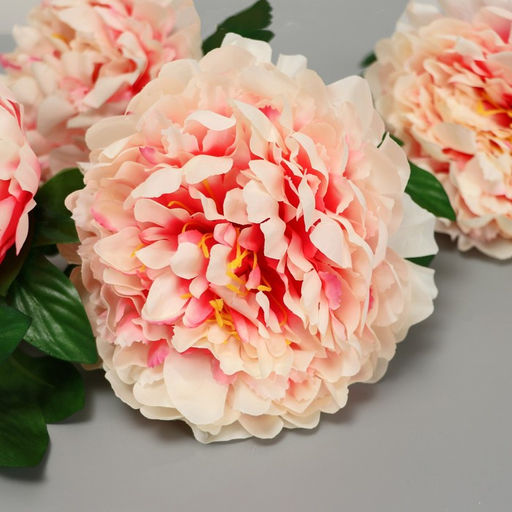 Цветы искусственные «Пион кустовой», 5 бутонов, 15×110 см, кремовые - Poetry in flowers фото 3