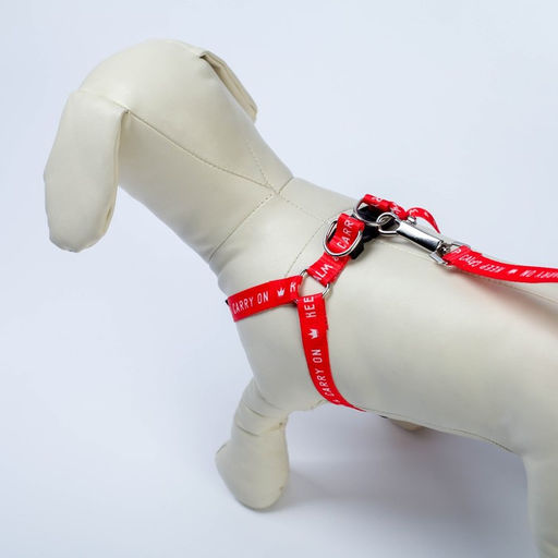 Комплект Keep calm & carry on, шлейка 36-49 см, поводок 120х1,5 см - Пушистое счастье фото 5