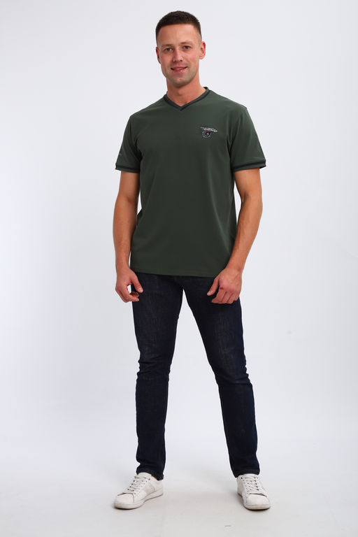 Футболка мужская 059