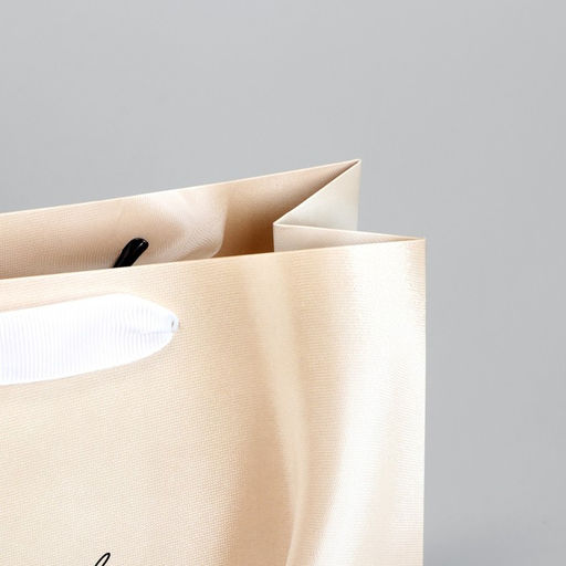 Пакет подарочный Present, 22 х 17.5 х 8 см - Дарите счастье фото 4